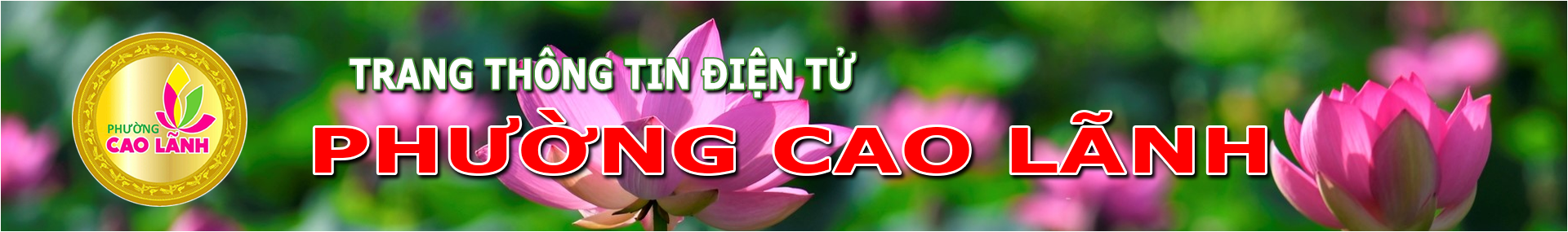 Cơ quan chủ quản UBND THÀNH PHỐ CAO LÃNH